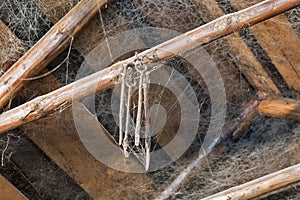 Old black smith interior