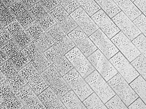 Old black and white brick walkway