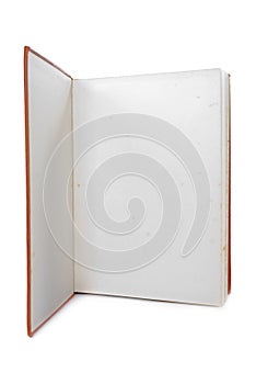Old Blank Book