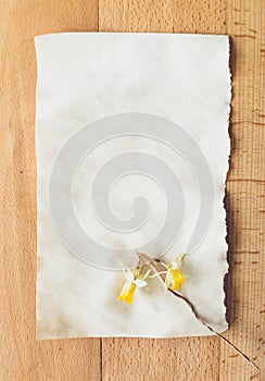 Old blank piece of paper with dried flower lying on wooden desk