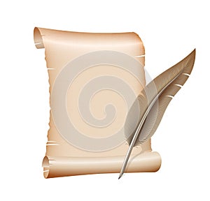 Old blank scroll paper on white background