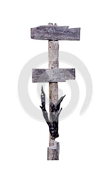 Old blank two plank wood sign hang on weathered pole isolated on white background ,clipping path