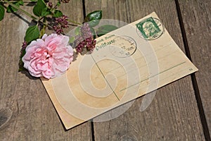 Old blank vintage postcard with old stamp is on old wood with pink rose and nib