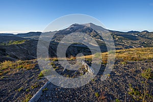 Old blast zone of Mount Saint Helens