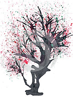 Old blossomed tree painted in ink.