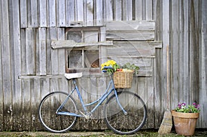 Old Blue Bicycle