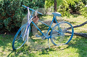 Old blue bicycle in the garden