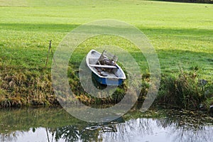 Old blue boat near a pond in a forest during the daytime