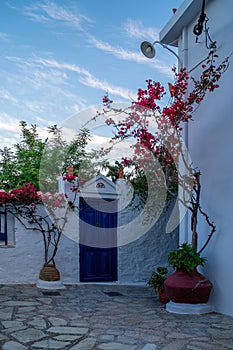 Old blue door and pink flowers, traditional Greek architecture, Scopelosisland, Greece
