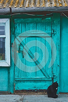 Old blue door with sitting cat