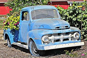 Old blue Ford pick-up truck