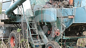 An old blue harvester harvests a sunflower crop on field. Dry sunflowers are cut using an agricultural combine