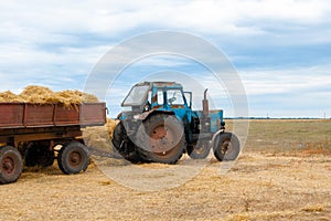 Old blue tractor harvests hay for the winter. Agriculture concept