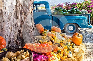 Old truck with vegetables and fruit parked next to tree