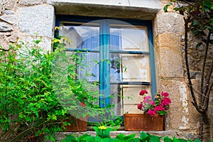 Old blue wood window with flowers on the facade of