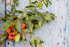 Old blue wooden door with orange autumn flowers. Bouquet of physalis on shabby wooden background.