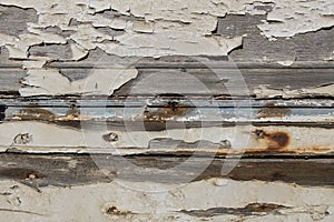 Old board with knots and white and cyan paint traces, peeled paint over wood boards from a boat hull