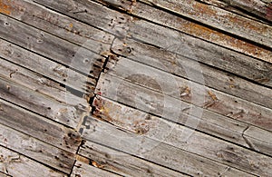 Old boards texture