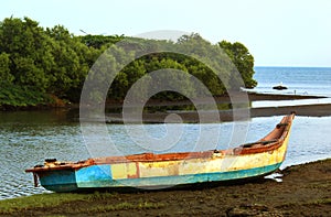 Old boat on a fisher mans beach with mangrove tree.