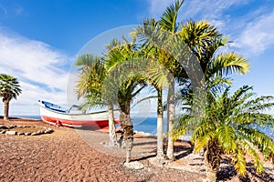 Old boat and palm trees near Los Gigantes, Tenerife, Canary islands, Spain