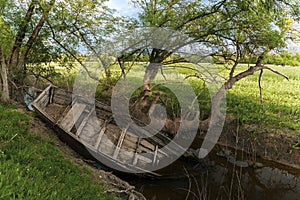 An old boat on the swampy bank of the former river photo