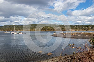 Old boats in the harbour