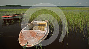 Old boats and reeds along the shore of Usma lake, Latvia