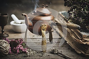 Old boiling teapot, dry coneflowers, old books and medicinal herbs photo