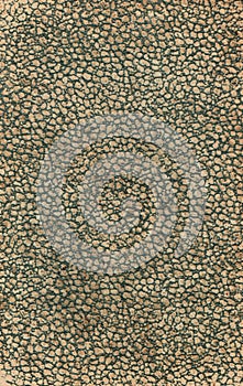 Old Book Cover Texture