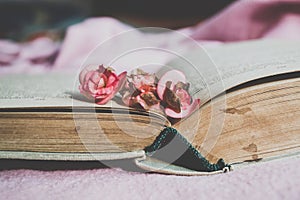 Old book and dried flowers