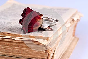 Old book and dry rose