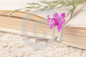 Old book and flowers