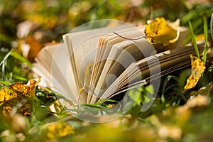 Old book forgotten in a garden