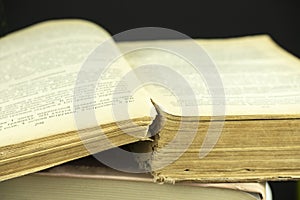 Old book, open page of an old book. Close-up