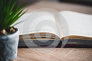 Old book on rustic wooden table, green home plant