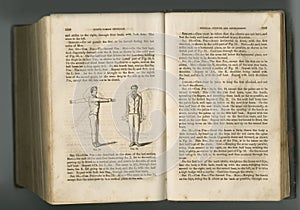 Old book, vintage pages and history guide, antique manuscript or ancient scripture in literature of the body against a