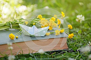 Old book, yellow flowers and papaer boat in green grass over yellow sun light. Magic book, time to dreaming, relax spring summer