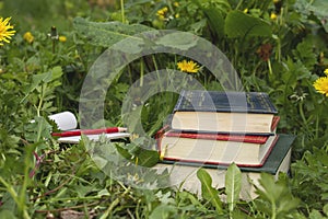 Old books on the grass