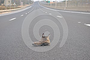 Old boot, useless item, on empty highway. Solitude concept