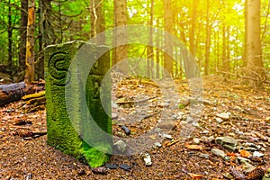 Old border post in a forest