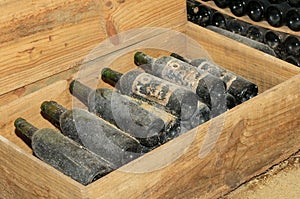 Old bottles in wine cellar