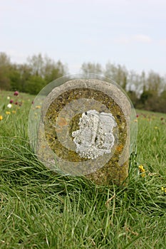 Old boundary marker in meadow
