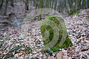 Old boundary stone