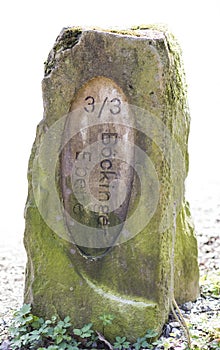 Old boundary stone in white background