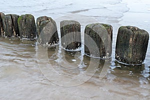 Old breakwater bollards on the sea beach. Coast in central europ