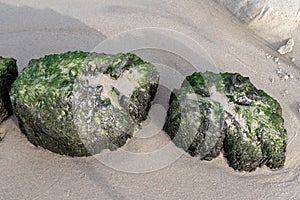 Old breakwater bollards on the sea beach. Coast in central europ