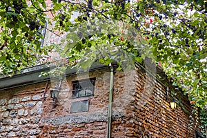 Old brick building with lanterns