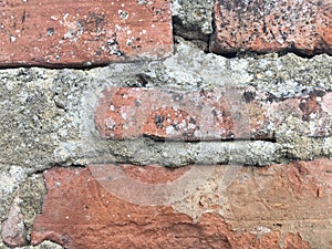 Old Brick cover with ciment