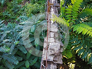 Old brick fence braided with barbed wire in overgrown with green plants