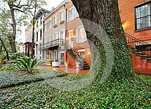 Old brick homes in the historic district of Savannah